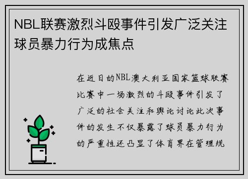 NBL联赛激烈斗殴事件引发广泛关注 球员暴力行为成焦点